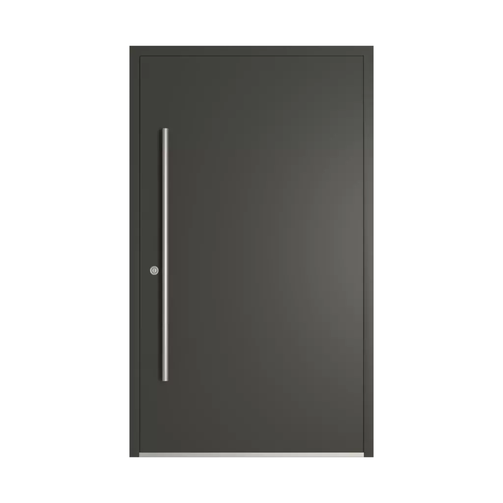 RAL 6015 Black olive entry-doors models-of-door-fillings dindecor sl01  