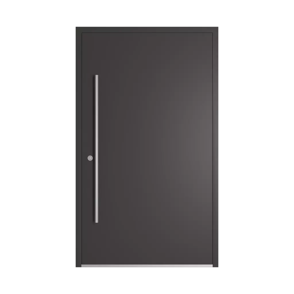 RAL 8019 Grey brown entry-doors models-of-door-fillings dindecor 6002-pvc  