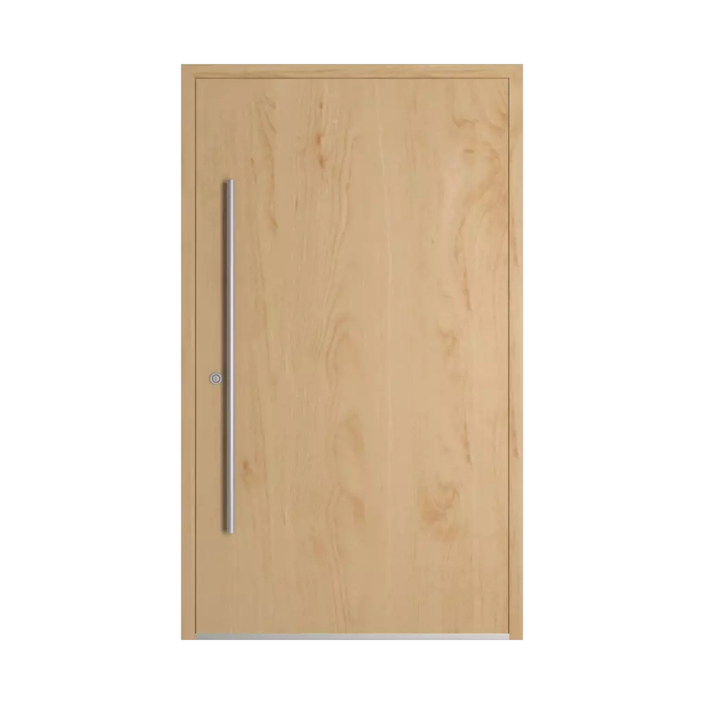 Birch entry-doors models-of-door-fillings cdm model-4  