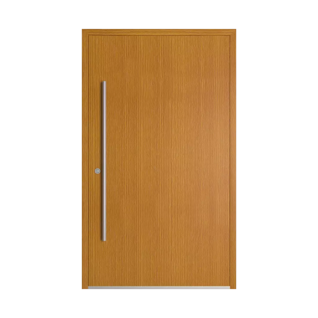 Oregon III entry-doors models-of-door-fillings dindecor sl01  