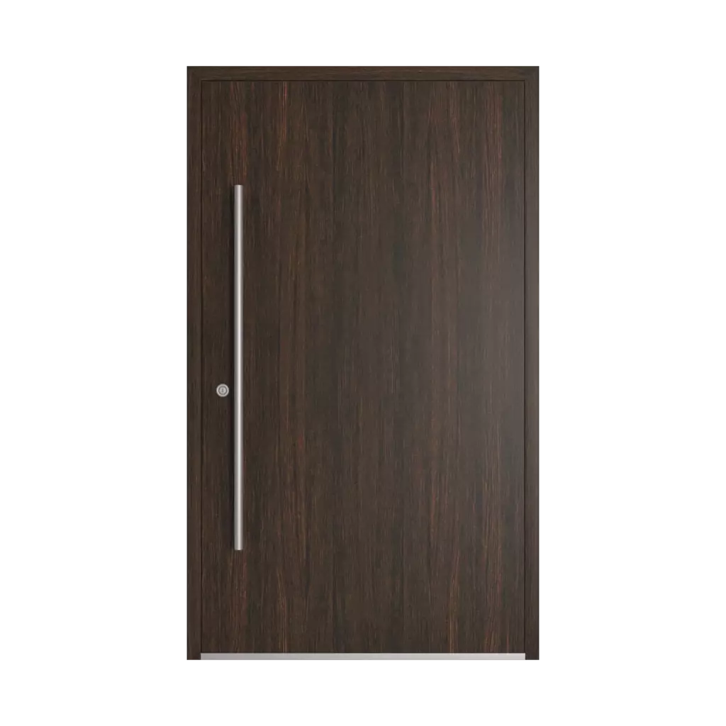 Dark oak entry-doors models-of-door-fillings dindecor 6013-pvc-black  