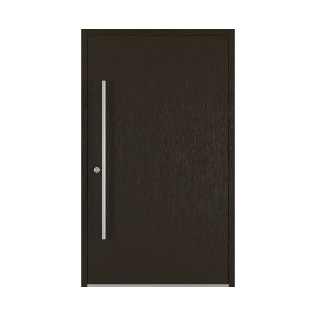 Palisander entry-doors models-of-door-fillings dindecor 6013-pvc-black  