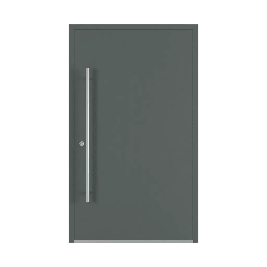 Basalt gray entry-doors models-of-door-fillings dindecor cl03  