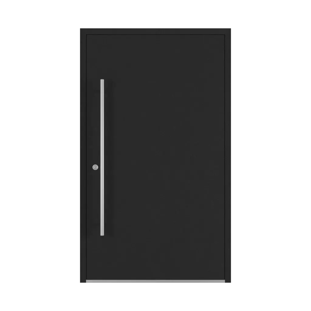 Dark graphite entry-doors models-of-door-fillings dindecor rl02  