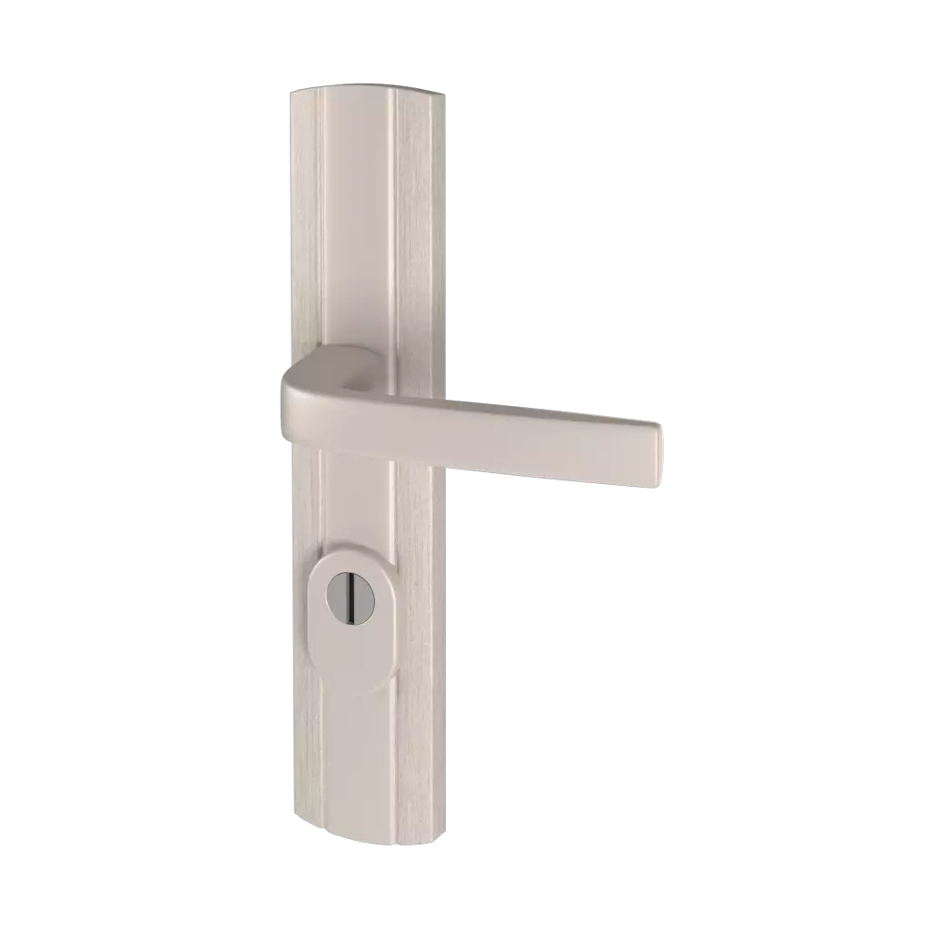 Inox entry-doors door-accessories handles prestige-class-c-with-security interior