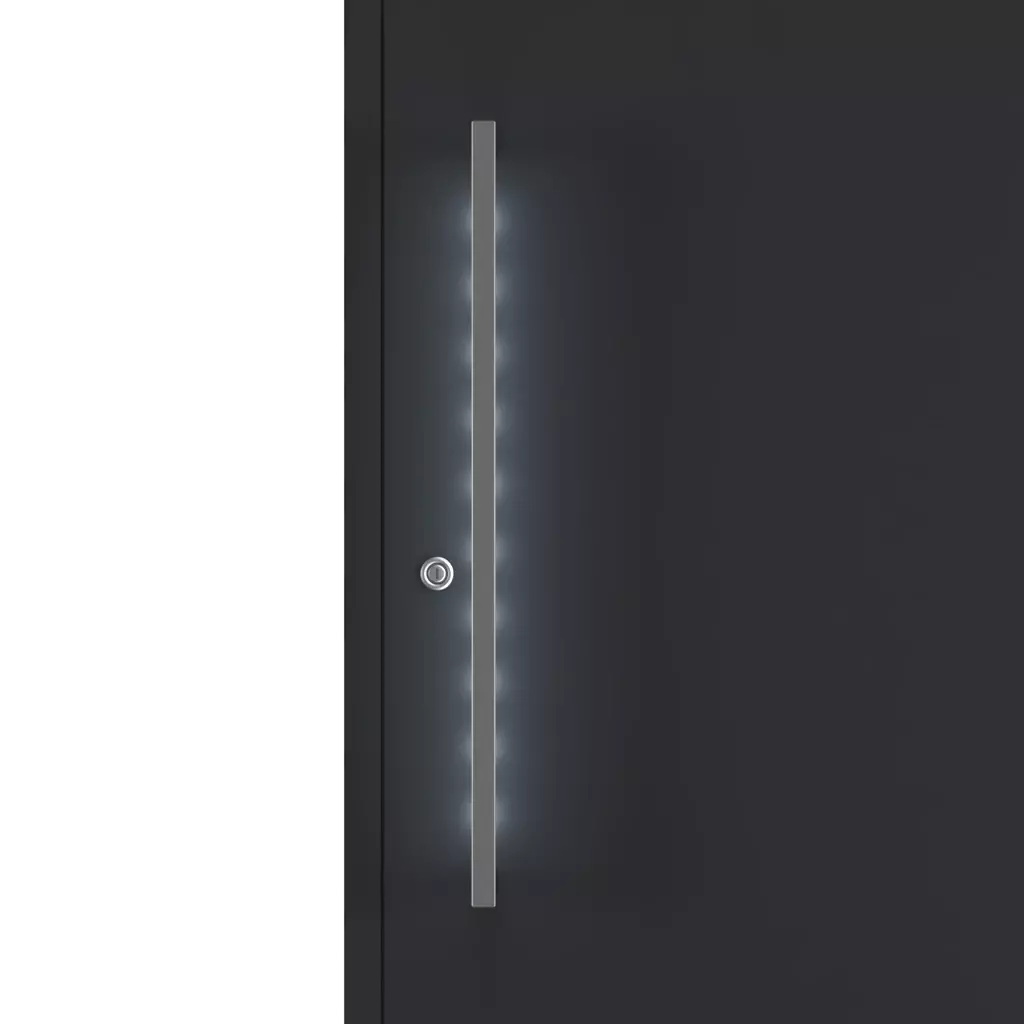Pull handle illumination entry-doors door-accessories pull-handles pz-82 
