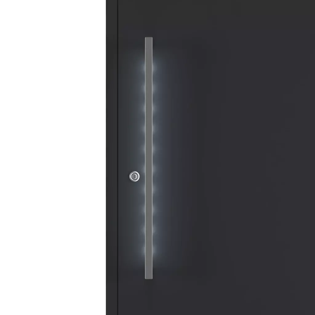 Pull handle illumination entry-doors door-accessories pull-handles electronics-in-pull-handles  