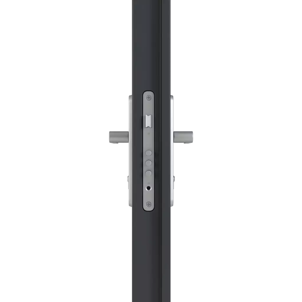 Handle/handle entry-doors models-of-door-fillings dindecor 6124-pwz  