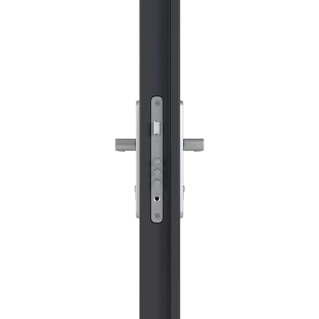 Handle/handle entry-doors models-of-door-fillings dindecor 6005-pvc-black  