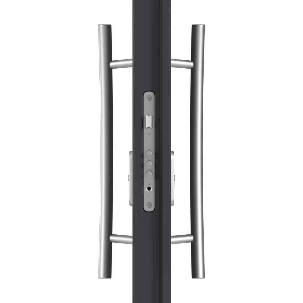 Pull handle(s) entry-doors models-of-door-fillings dindecor 6011-pvc-black  