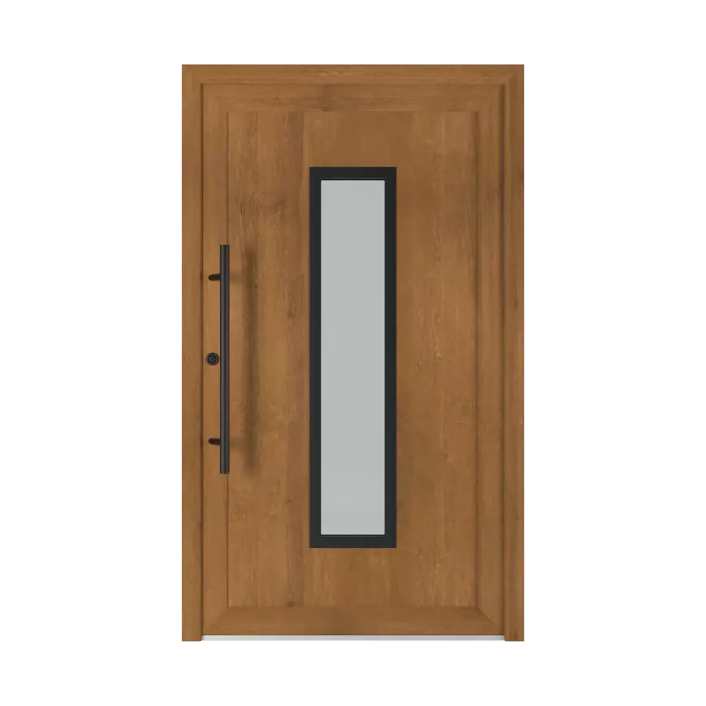 6002 Black PVC products entry-doors    