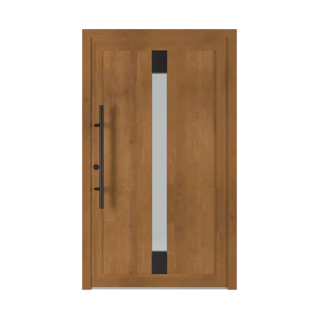 1301 PVC Black entry-doors models-of-door-fillings glazed 