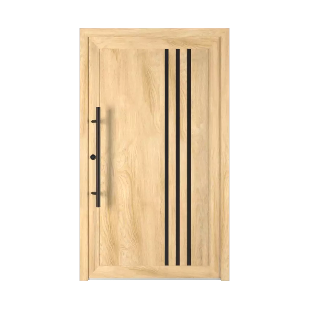 6029 PVC Black entry-doors types-of-door-fillings double-sided-overlay-filling 