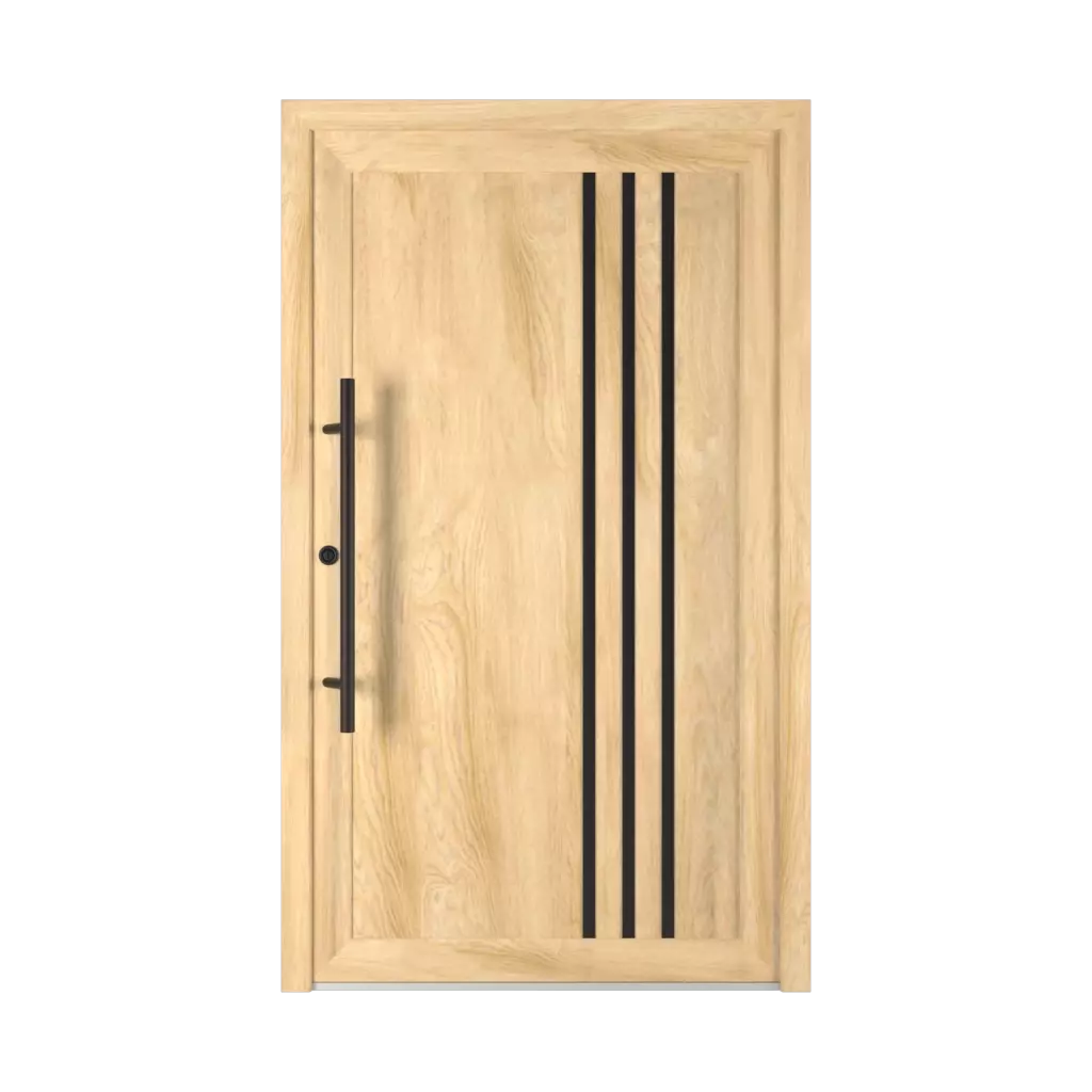 6029 PVC Black entry-doors models-of-door-fillings pvc 