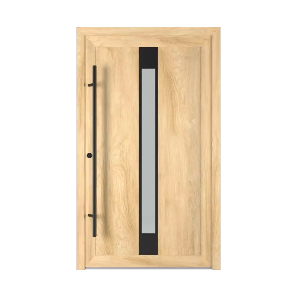 1401 PVC Black entry-doors models-of-door-fillings pvc 