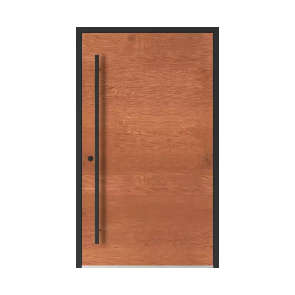 Model 5015 WD entry-doors models-of-door-fillings dindecor 