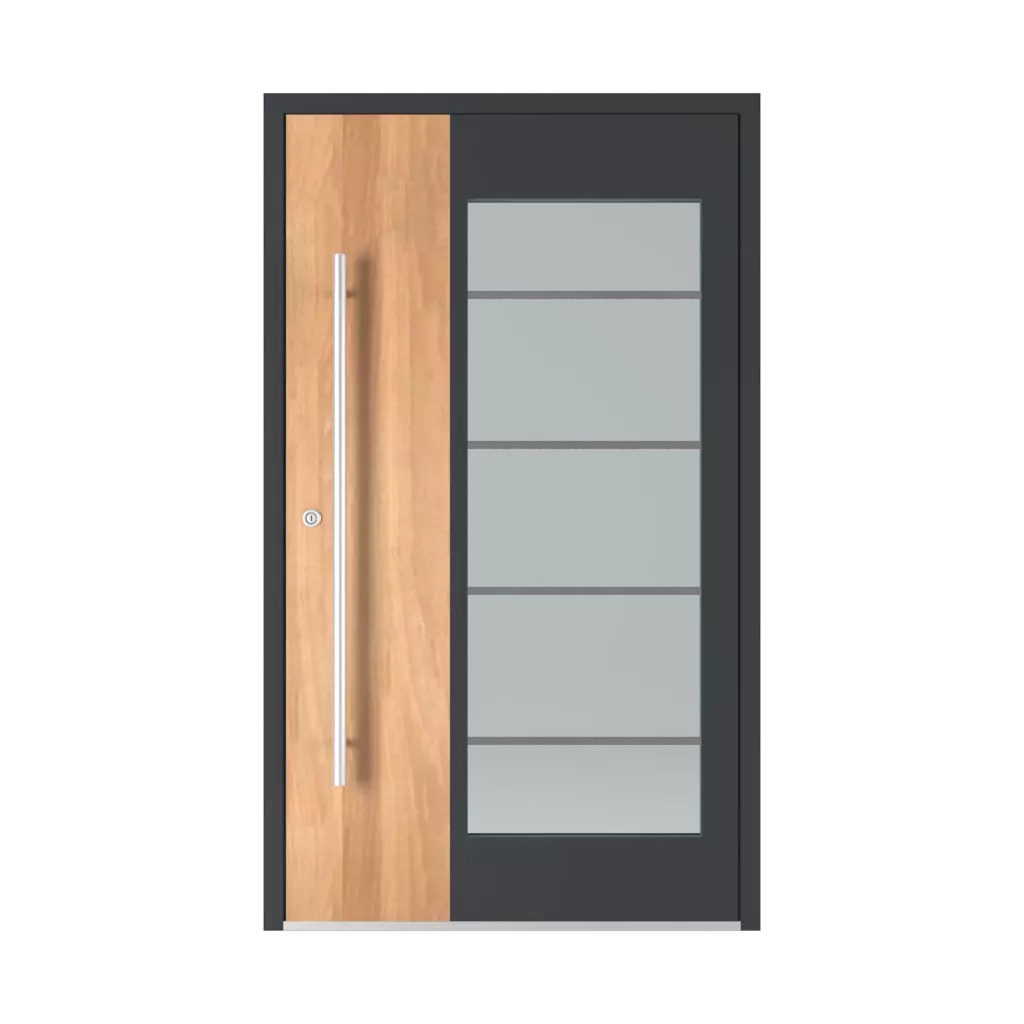 Model 6110 entry-doors models-of-door-fillings aluminum 