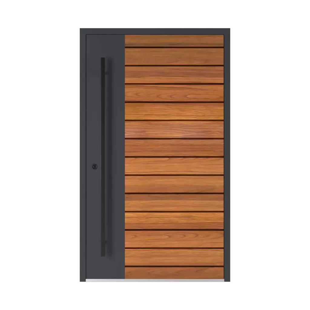 Model 6123 ✨ entry-doors door-colors ral-colors ral-7008-khaki-grey 