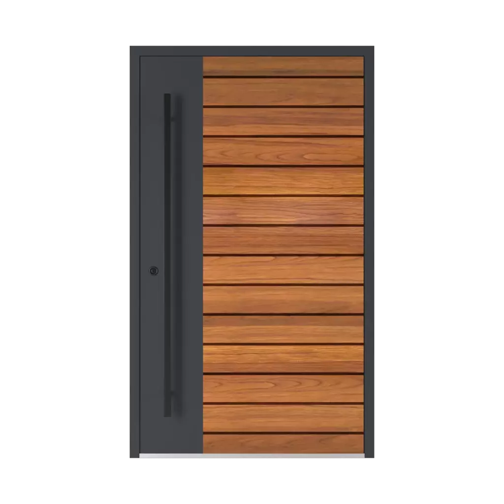 Model 6123 ✨ entry-doors door-colors ral-colors ral-4010-telemagenta 