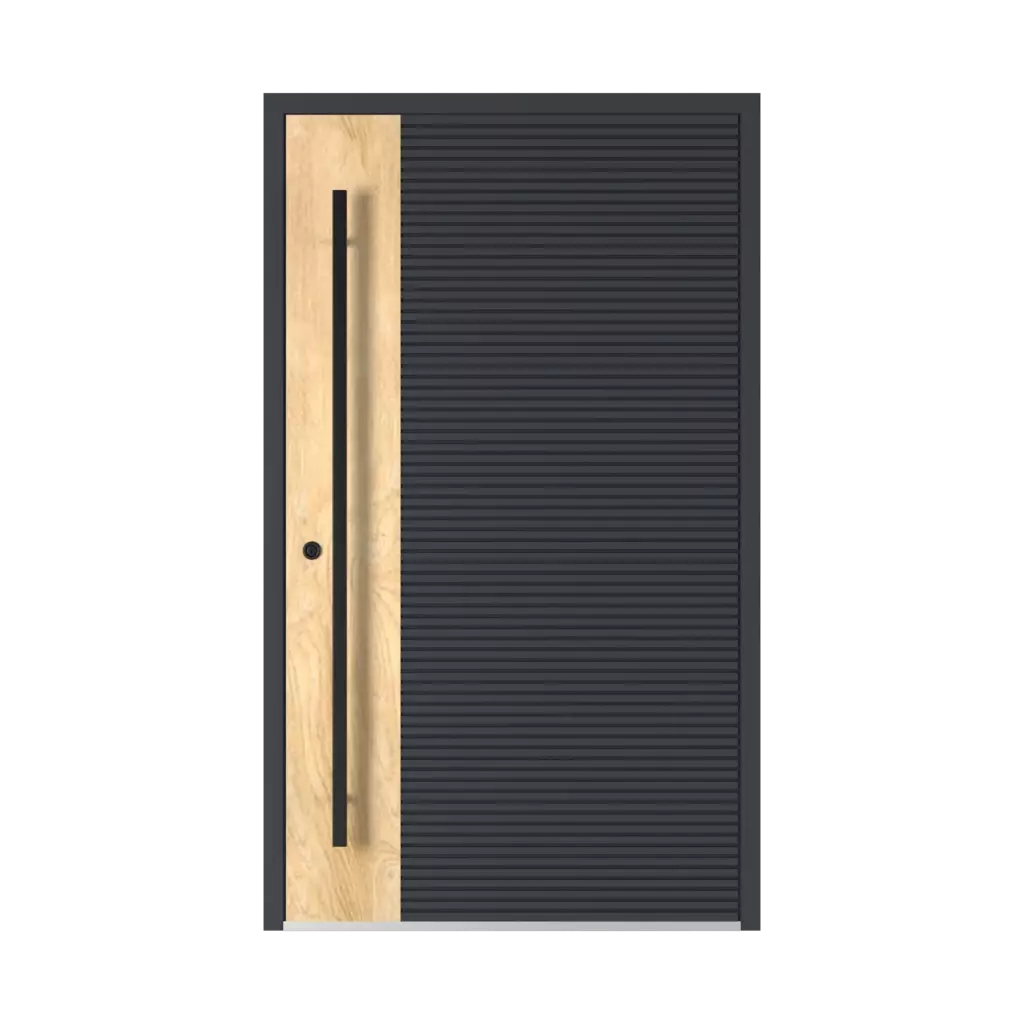 Model 6129 🆕 entry-doors models-of-door-fillings full 