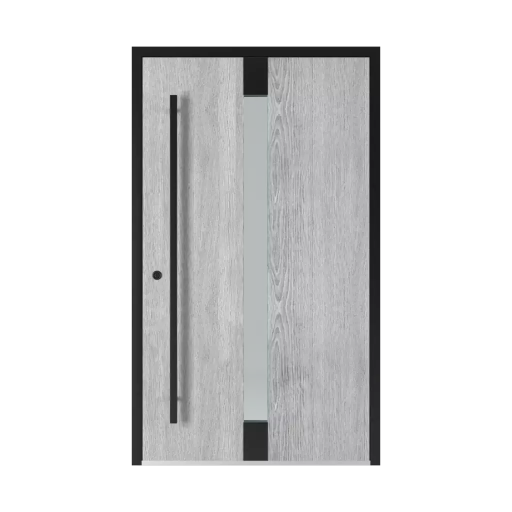 1301 Black entry-doors models-of-door-fillings glazed 