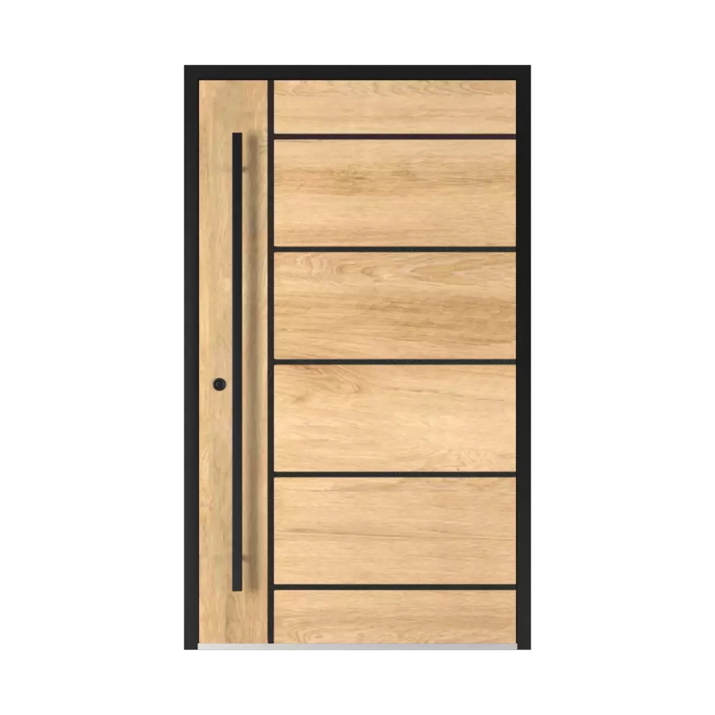 2801 Black products entry-doors    