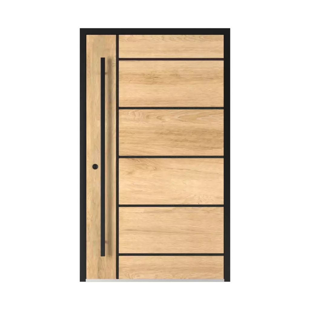 2801 Black entry-doors models-of-door-fillings dindecor 2801-black  