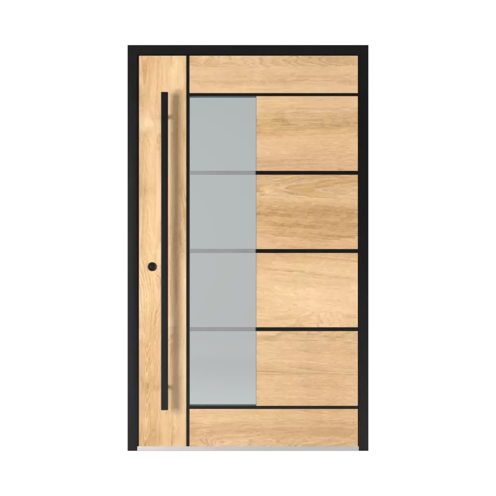 2802 Black entry-doors models-of-door-fillings glazed 