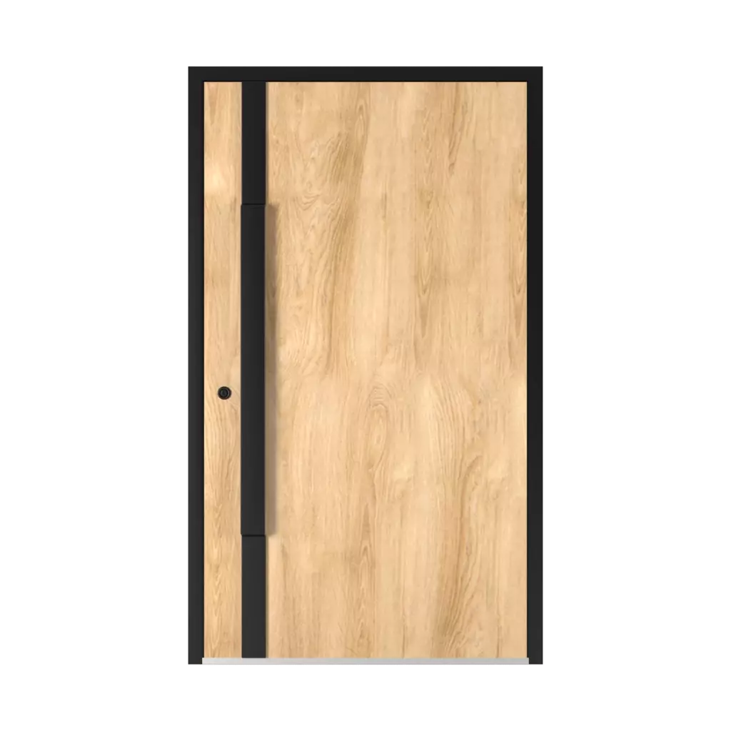 5015 Black ✨ entry-doors door-colors ral-colors ral-6017-may-green-2 