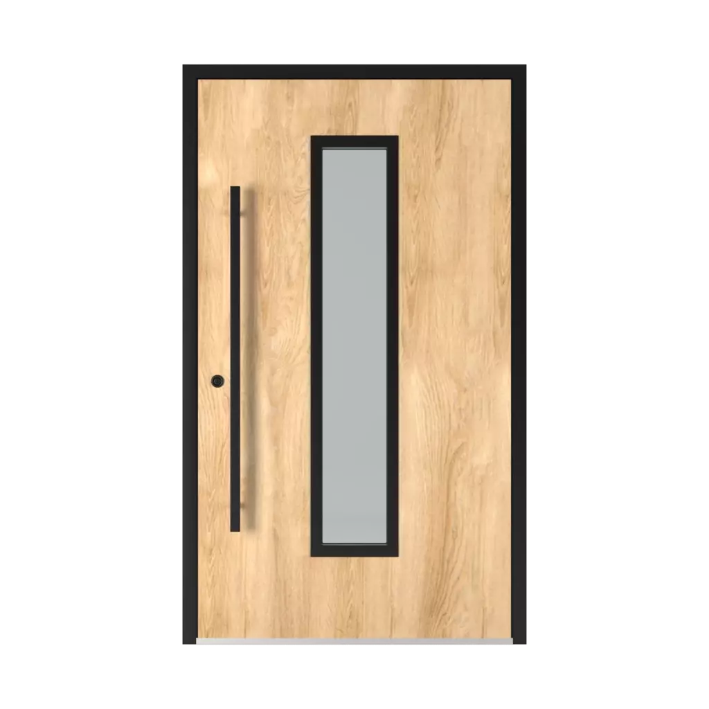 6002 Black entry-doors models-of-door-fillings dindecor 