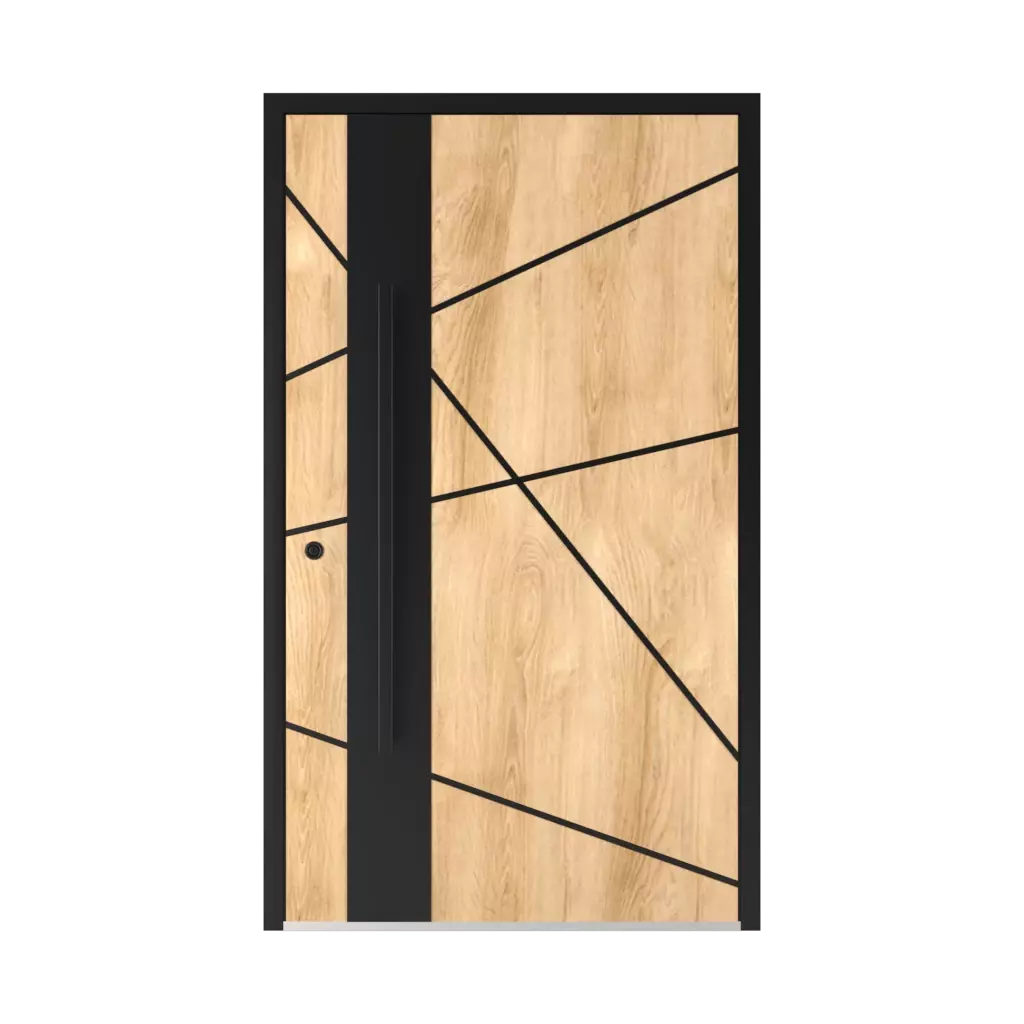 6132 Black ✨ entry-doors door-colors ral-colors ral-8003-clay-brown 