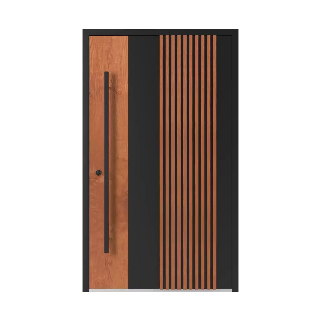 LL01 🏆 entry-doors models-of-door-fillings aluminum 