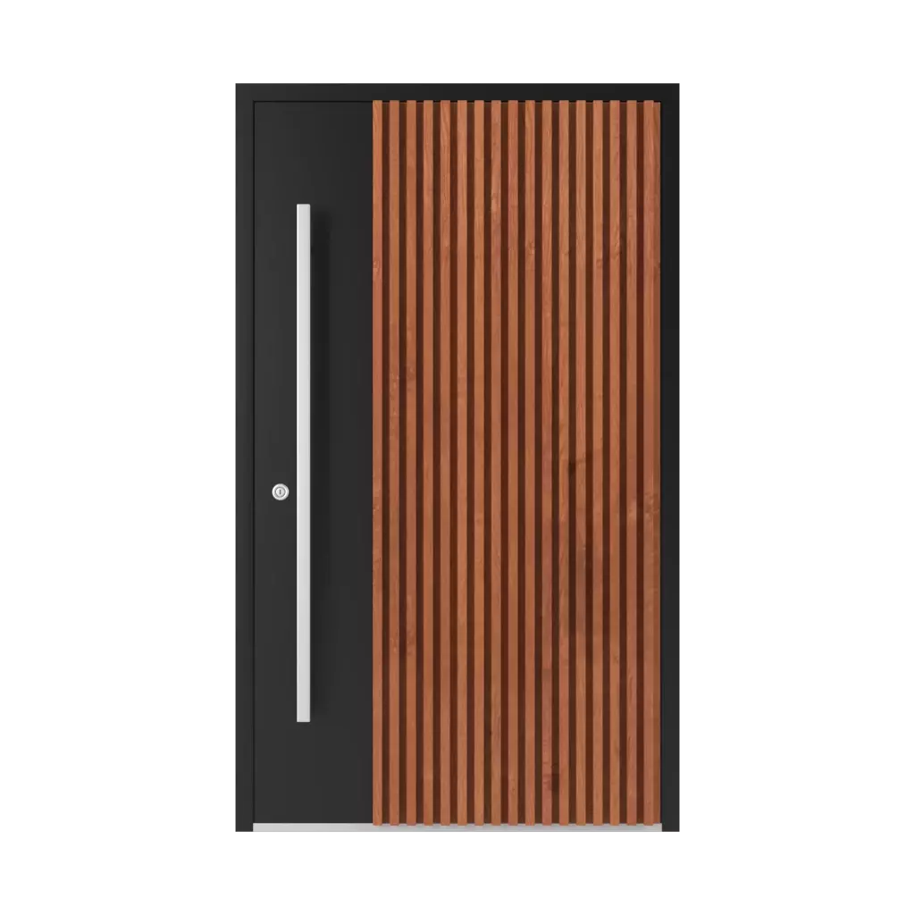 LL05 🏆 entry-doors models-of-door-fillings aluminum 