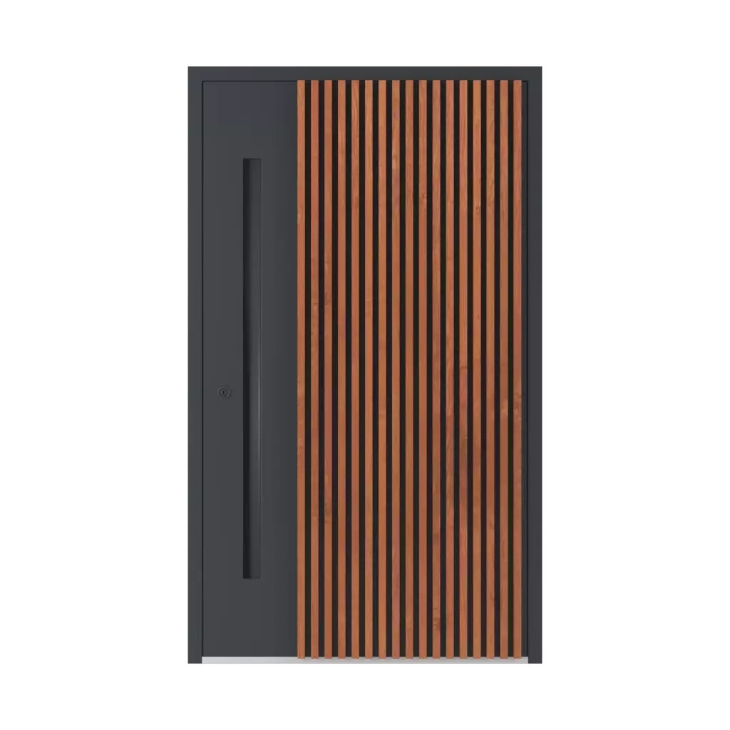 LL06 🏆 entry-doors models-of-door-fillings dindecor 