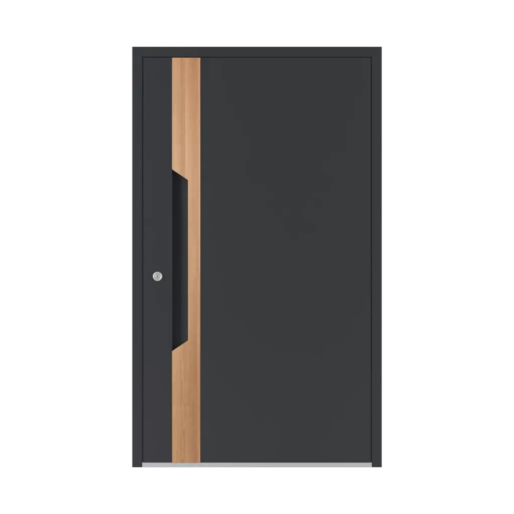 6121 PWZ ✨ entry-doors door-colors ral-colors ral-7001-silver-grey 