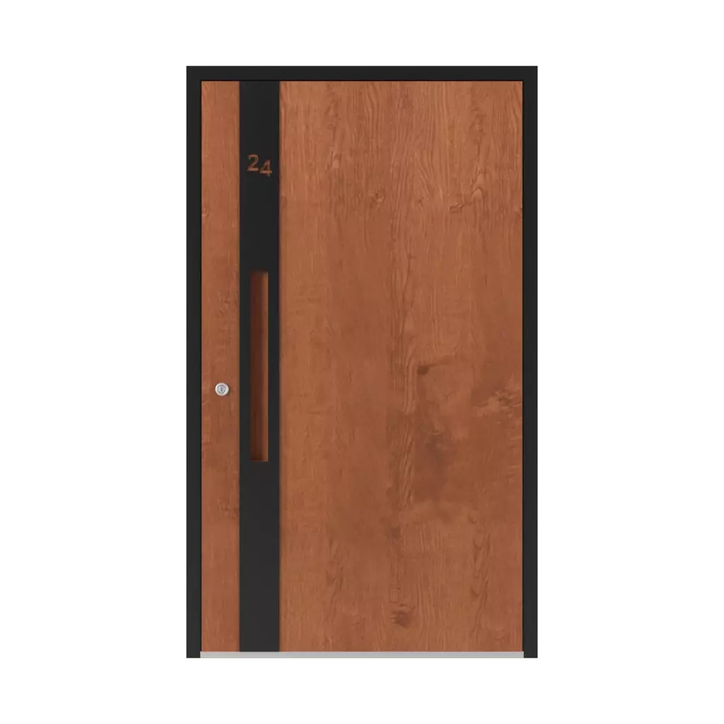 6124 PWZ products entry-doors    