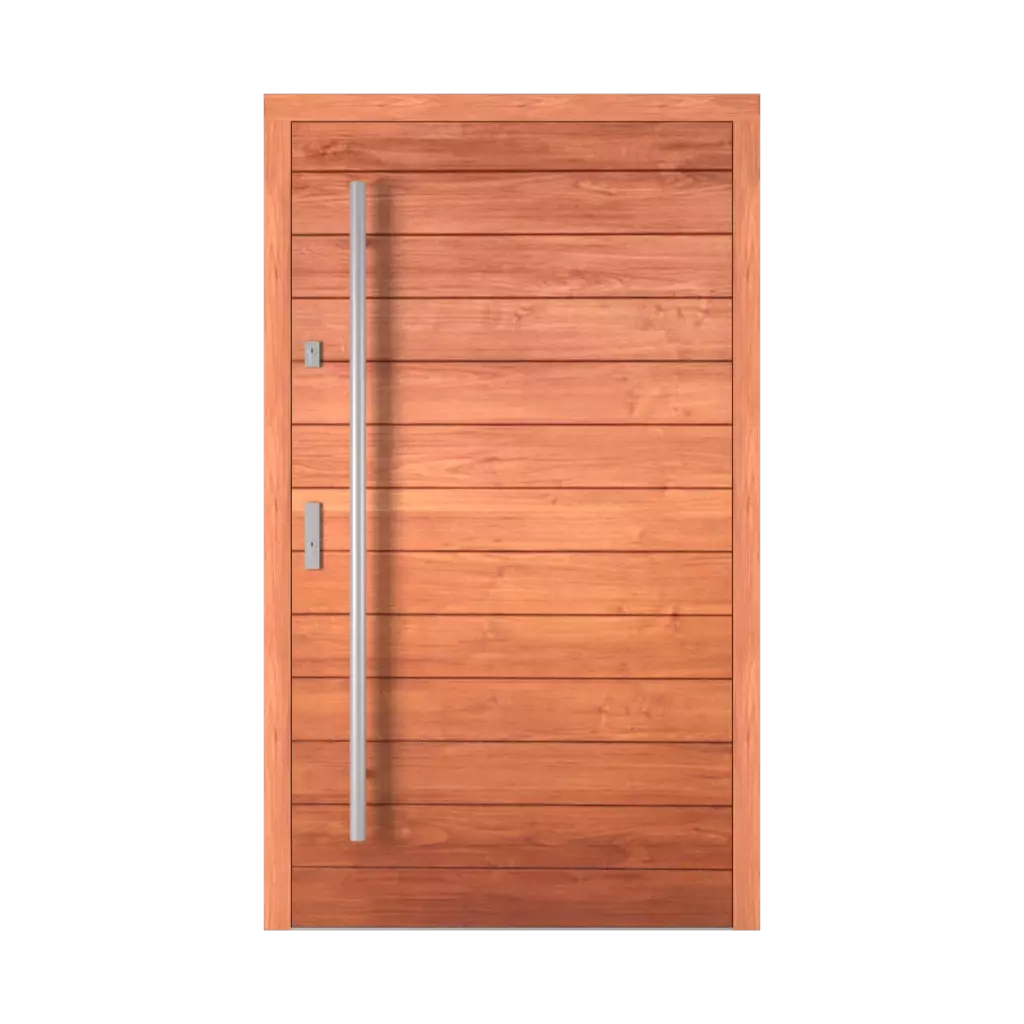 Berlin entry-doors models-of-door-fillings wood 