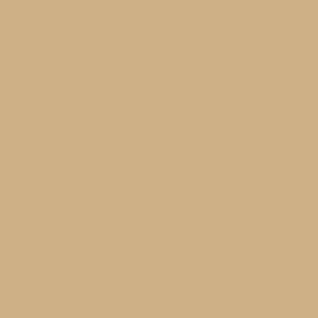 RAL 1001 Beige windows window-color aluminum-ral ral-1001-beige texture