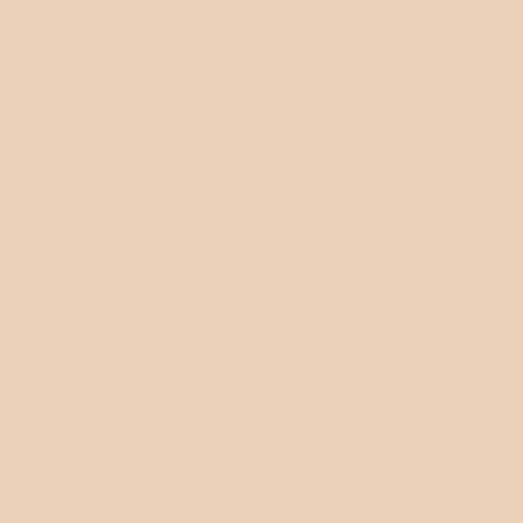 RAL 1015 creamy beige ✨ windows window-color aluminum-ral ral-1015-light-ivory texture