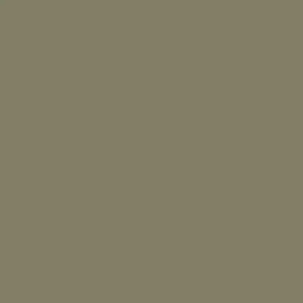 RAL 7002 Olive grey windows window-color aluminum-ral ral-7001-silver-grey texture