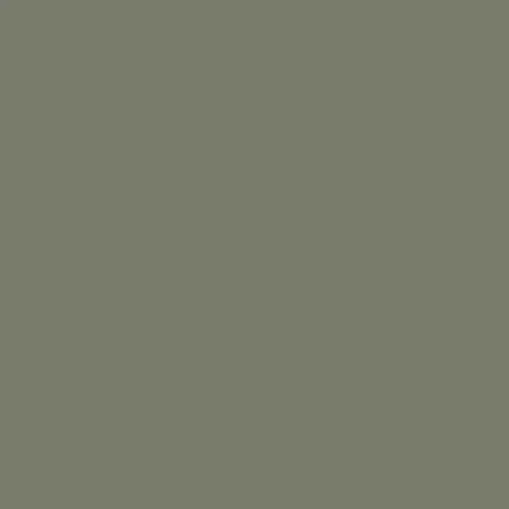 RAL 7002 Olive grey windows window-color aluminum-ral ral-7002-olive-grey texture